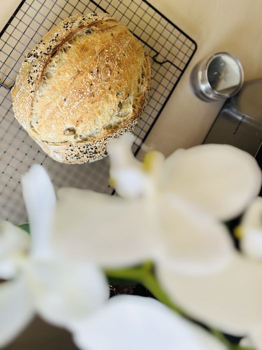 Закваска Левито Мадре для хлеба