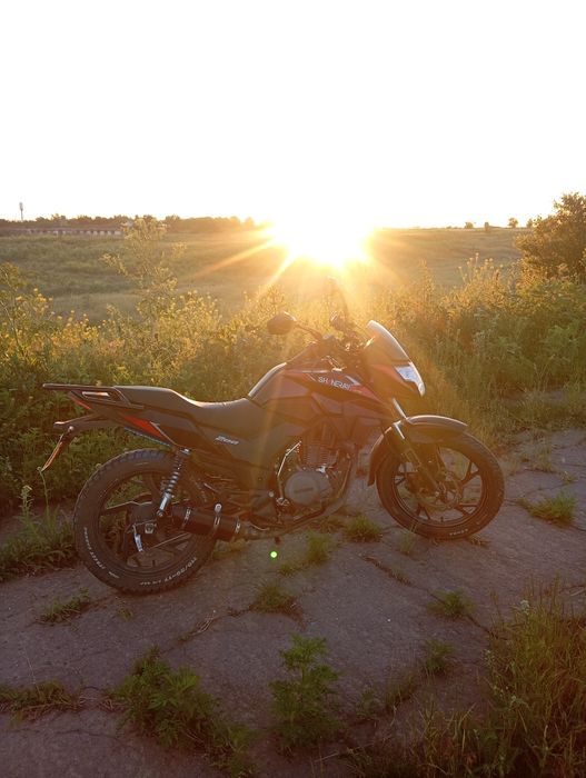 Shineray ds200   торг