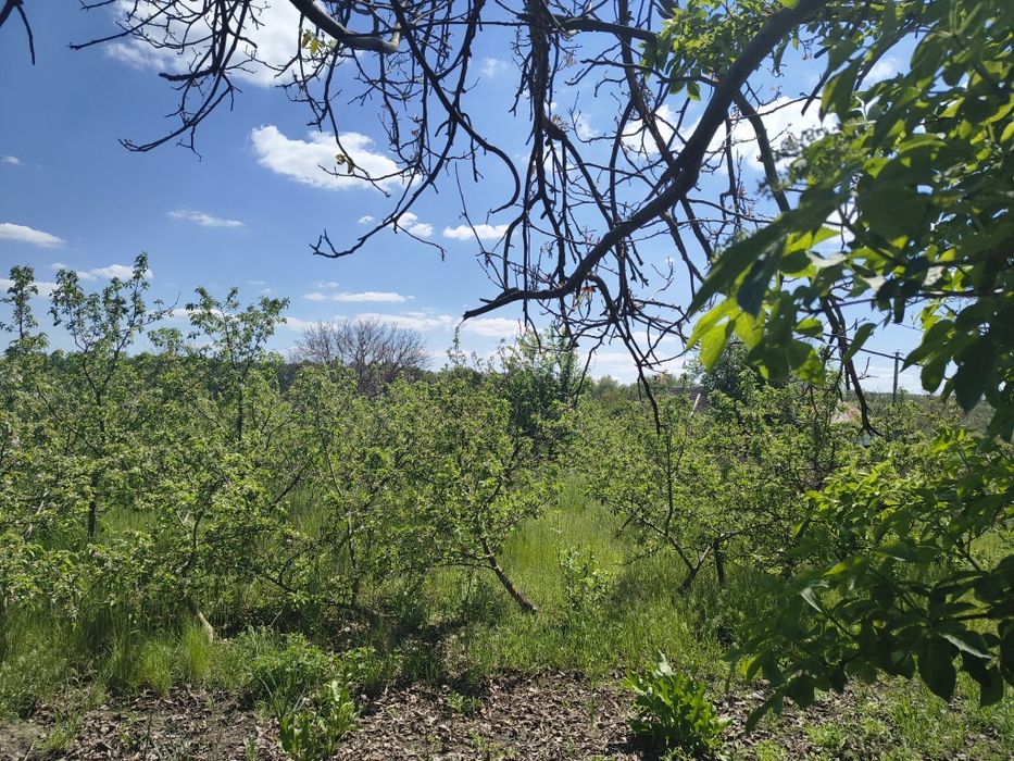 Продається будинок село Попівка