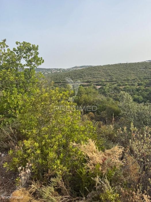 Terreno Rustico Machados São Brás de Alportel — São Brás de Alportel, Faro