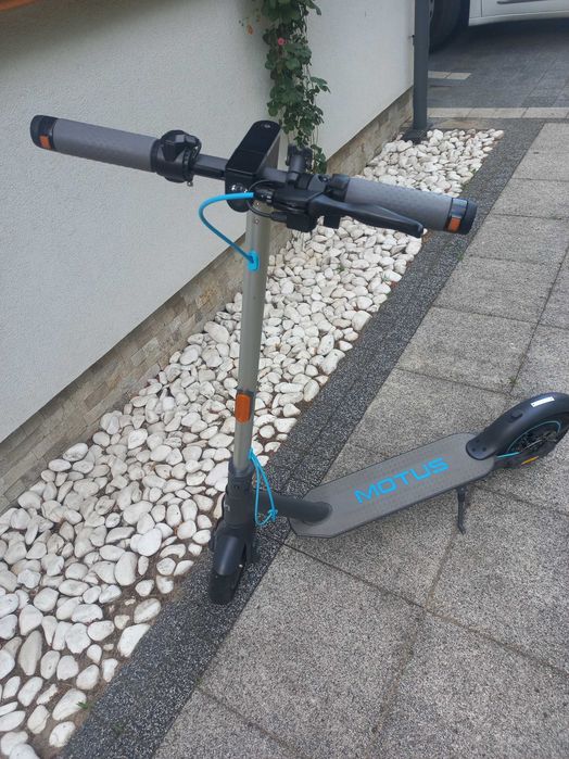Hulajnoga Motus Scooty 10 lite