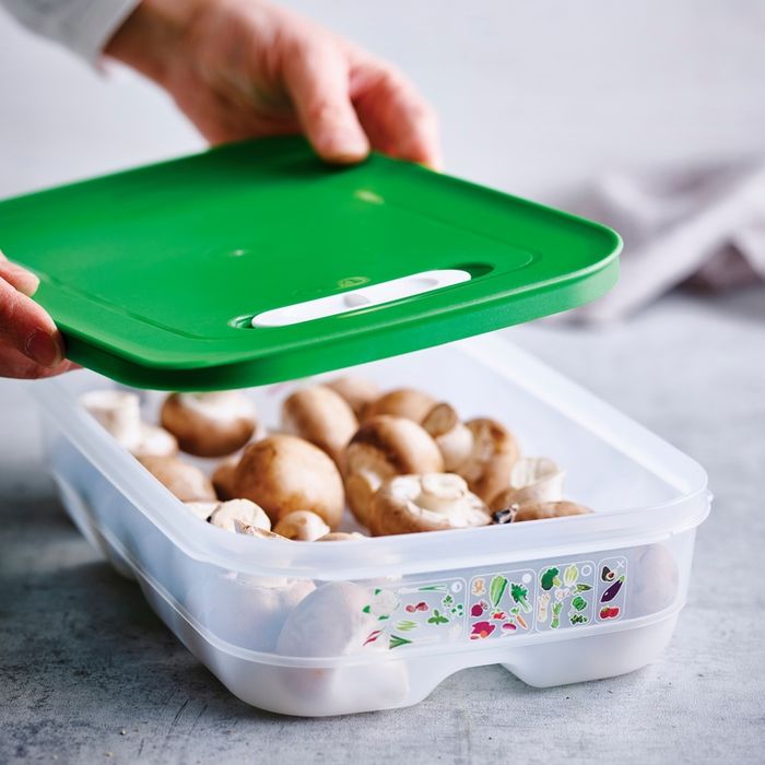 Tupperware Ventsmart 1.8L Nova