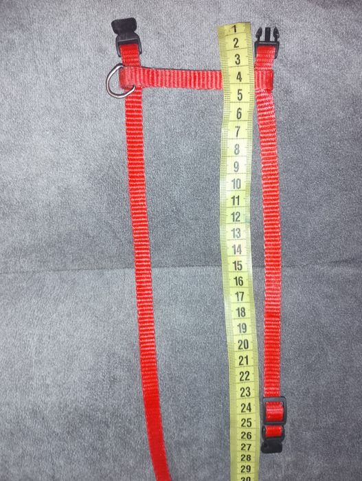 Шлейка для маленьких собак