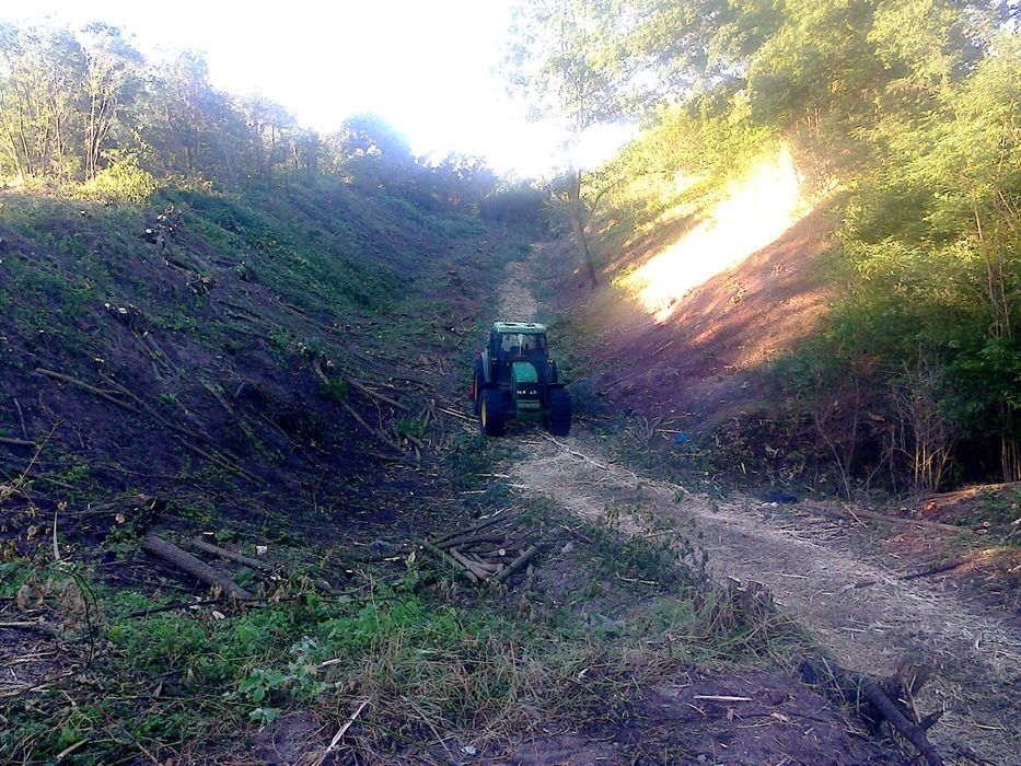 wycinka drzew, mulczerowanie