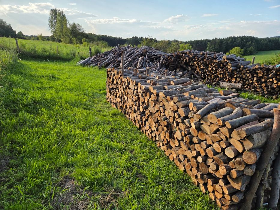 Drzewo kominkowe (Buk)