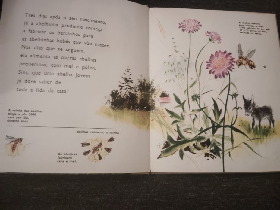 Livros Infantis e Juvenis Vintage
