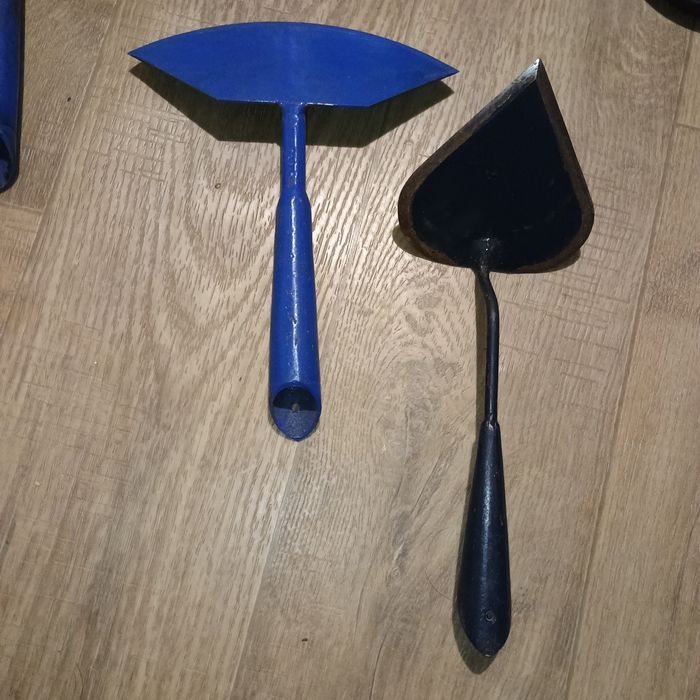 Плоскоріз Широколезовий /Плоскоріз Листоподібний