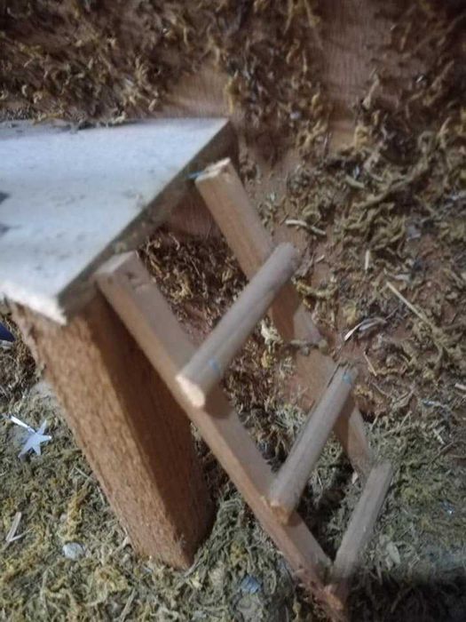 PRESÉPIO . Estabulo onde nasceu Jesus