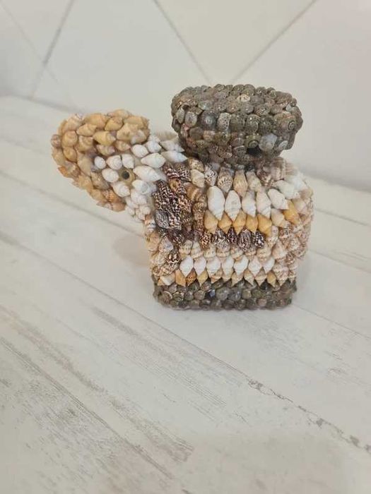 Coleção Conchas Artesanais Artesanato Animais Craft Seashells
