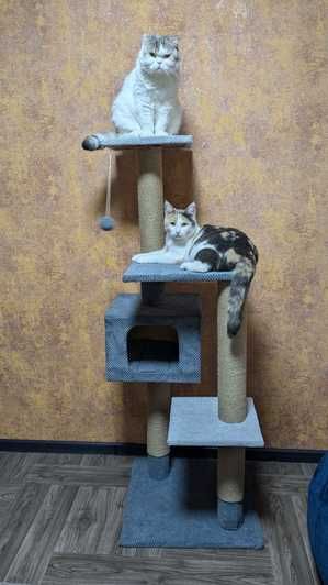 Домик когтеточка Игровой комплекс для кота дряпка кігтеточка будиночок