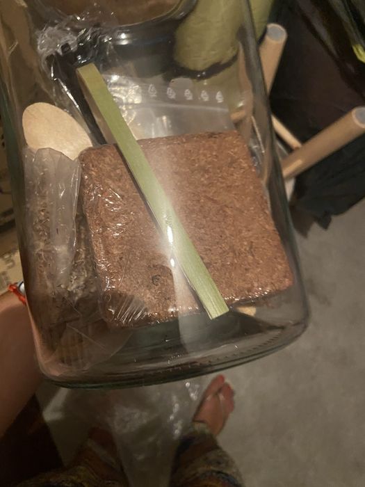 Terrarium kit novo