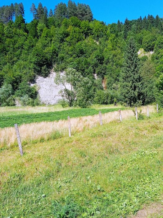 Продам земельную ділянку в Карпатах буля річки Уж.