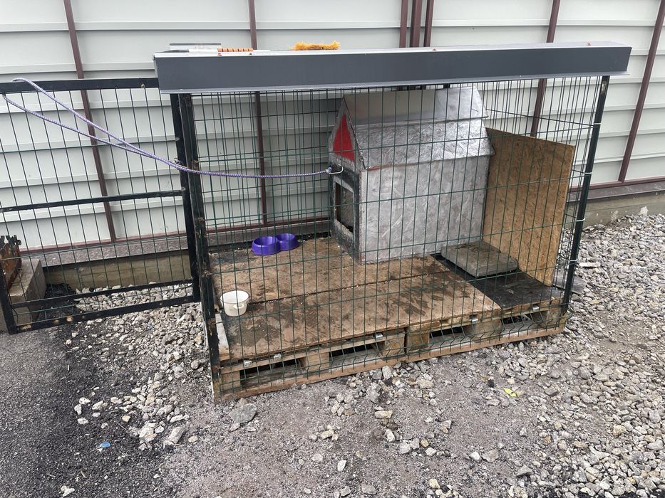 Вольєр собаки тварини для животних