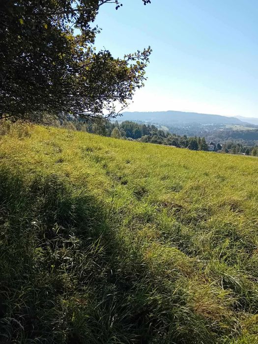Sprzedam działkę rolną - Widok 4
