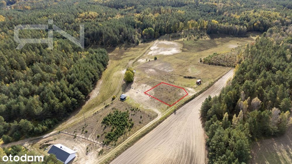 Działka | Kaszuby | 1162 m² | Jeziora | Las