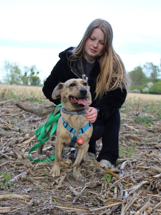 Nala - wyjątkowej urody, niewielka sunia, wróciła z adopcji!