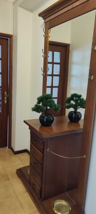 Móvel de entrada