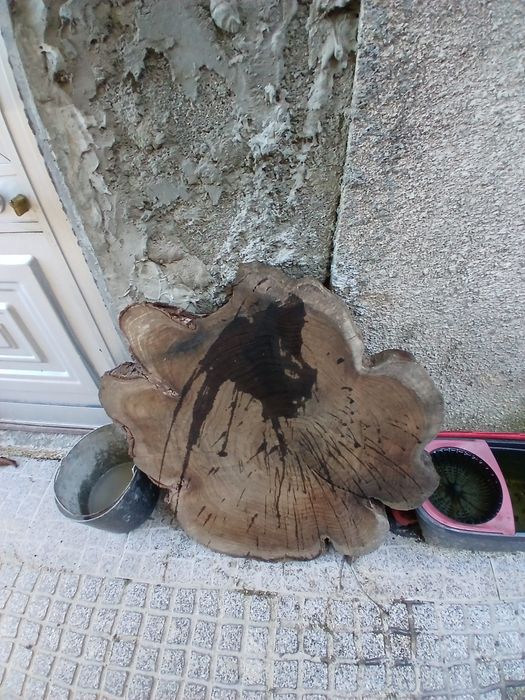 Rodela de Austrália