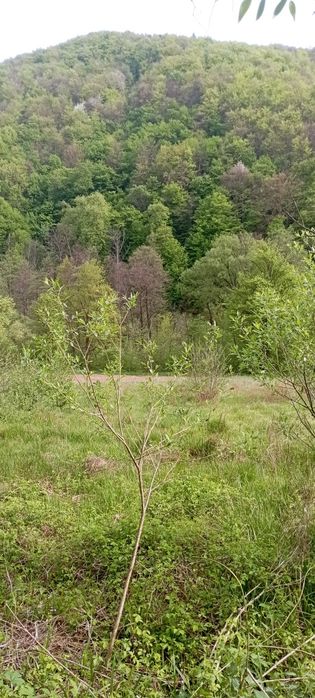 Продам ділянку у рекі Пеня Солочин 6 соток