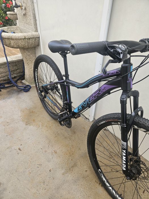 Bicicleta de roda 29