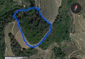 Terreno Douro troco por carro
