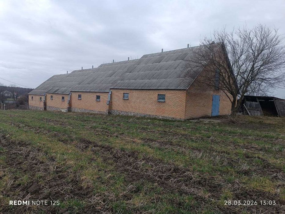 Продаж земельної ділянки з госп. спорудою в с. Чепиліївка
