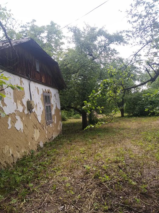 Нерухомість ( земля і будинок)