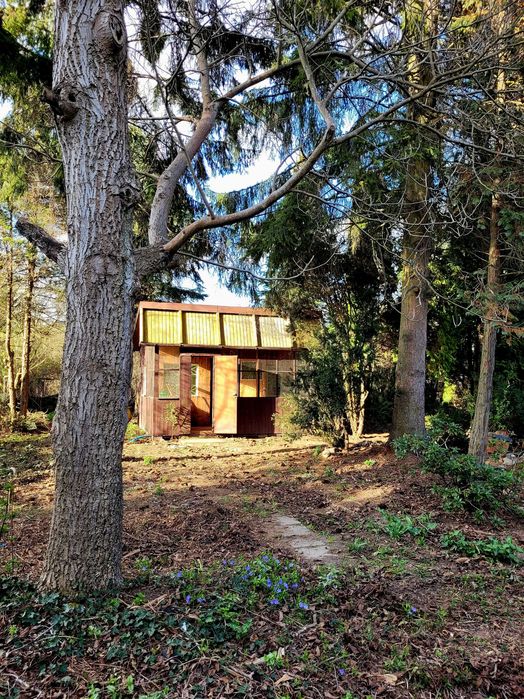 Działka ROD 500 m² Augustówka Mokotów z domkiem, starodrzew - Ansicht 6