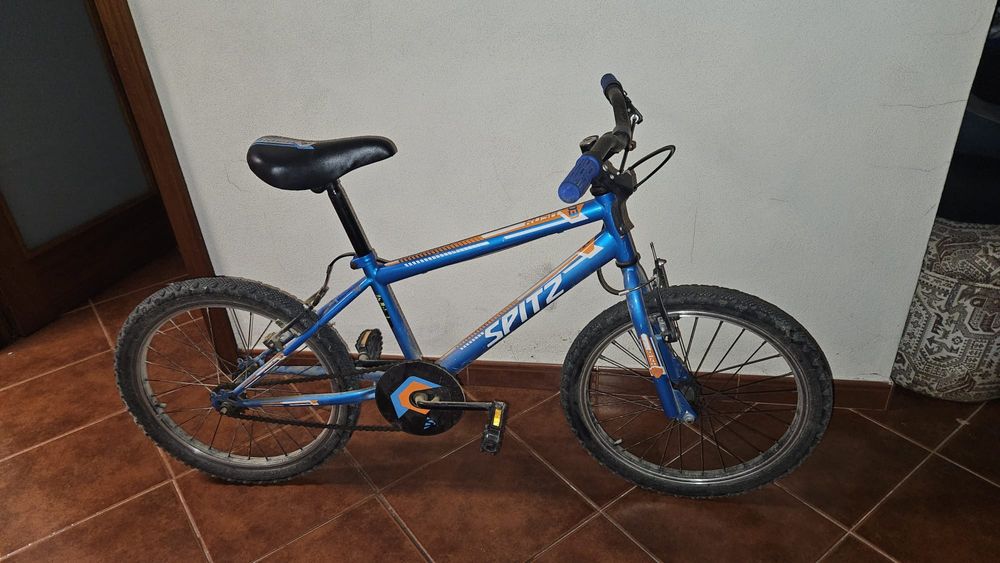 Bicicleta (a partir dos 6 anos)