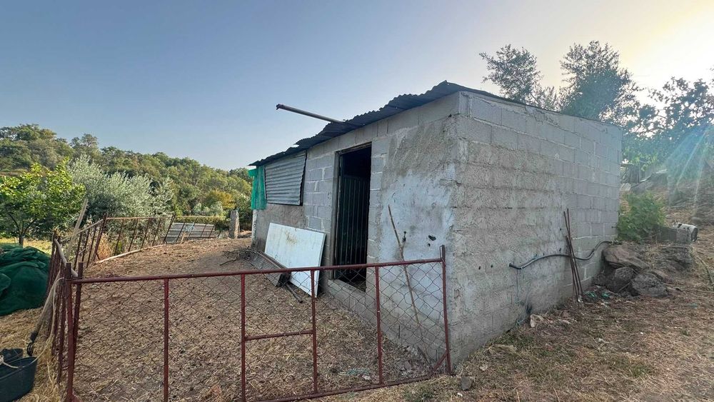Quinta / Terreno Rústico para Venda – Palvarinho, Salgueiro do Campo