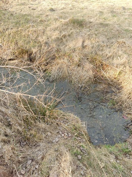 Земельна ділянка дачного типу
