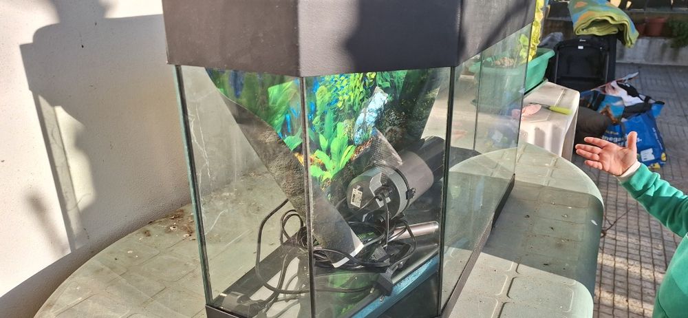 Aquário panorâmico