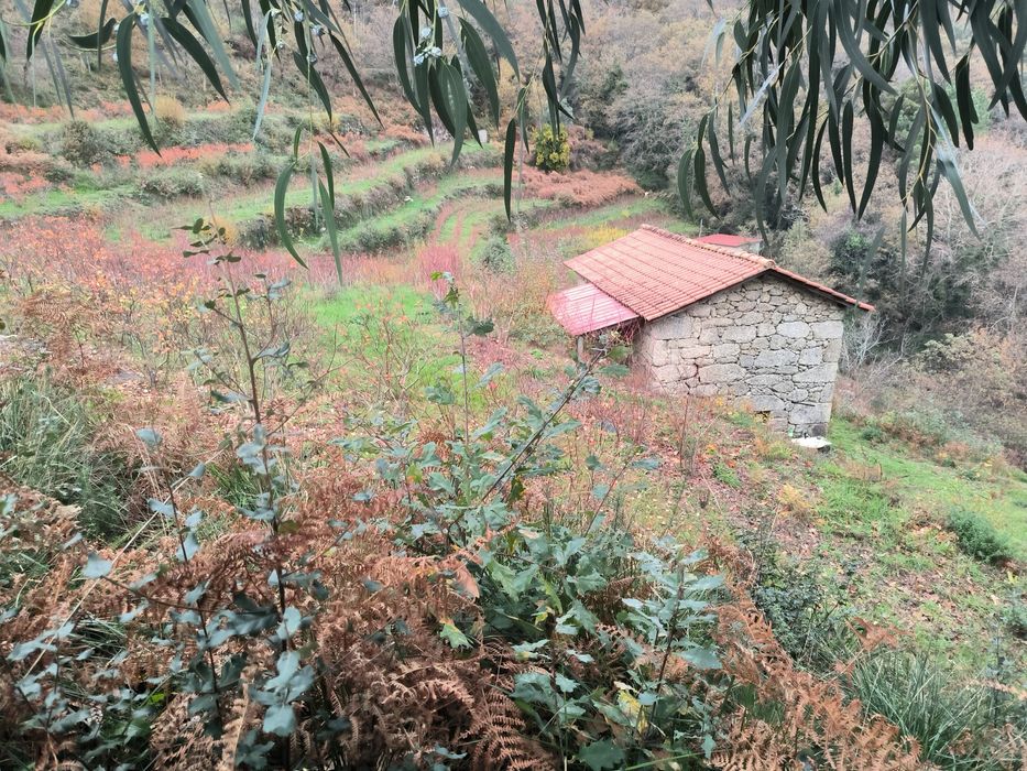 Quinta Rústica à Venda - 1 hectare de terreno. 

Descrição:  
Vende