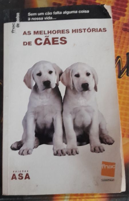 Varios livros para desocupar