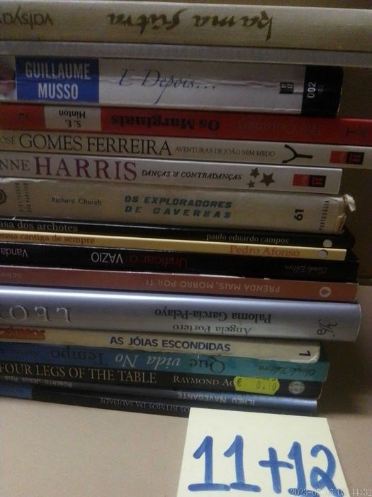 Lote 11 + 12  LIVROS Diversos Vendidos INDIVIDUALMENTE - Vários Preços