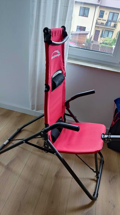 Backlounge trenażer pleców i brzucha