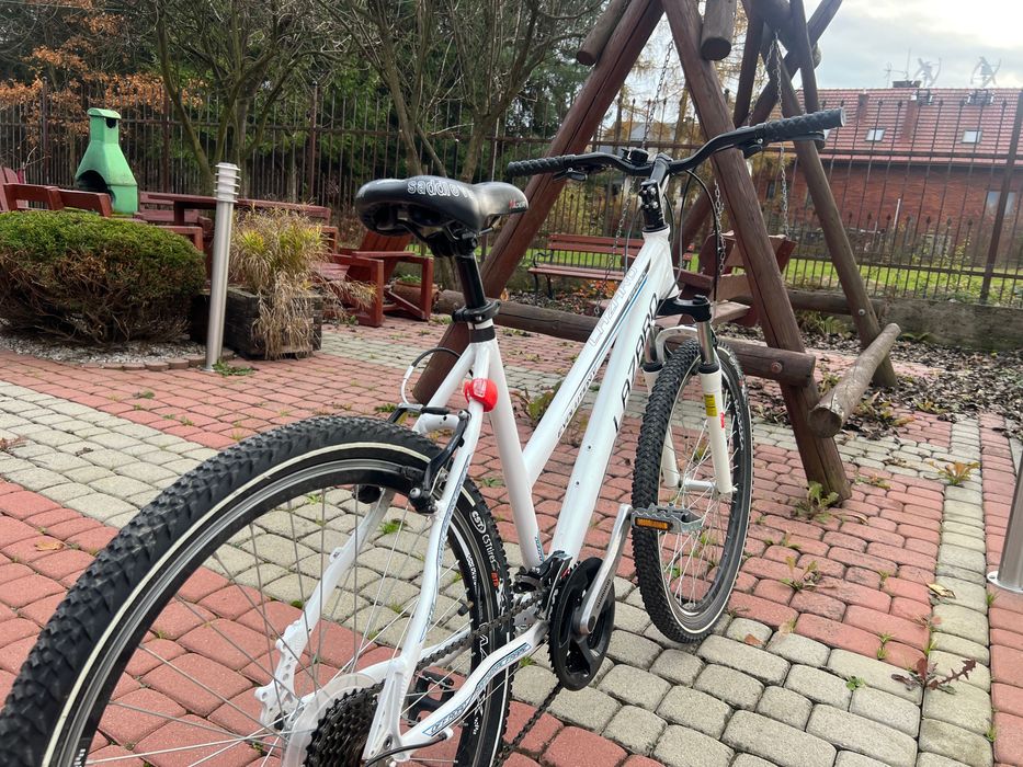 Rower Lazaro Evolution V