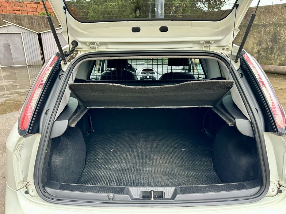 Fiat Punto Evo 1.3Multijet van