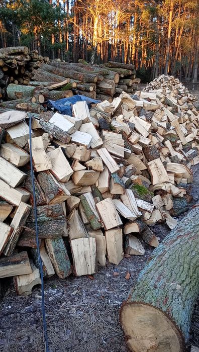 Drewno kominkowe dąb a także iglaste