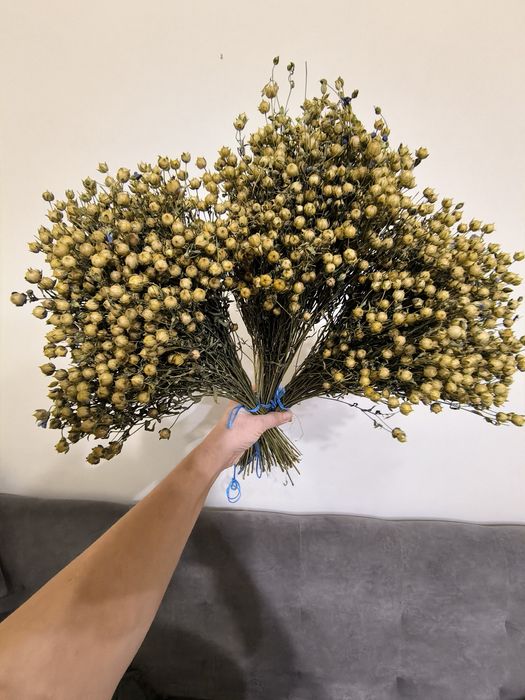 Льон просо для дідуха творчість декор