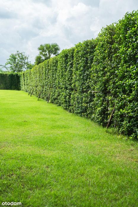 Piękny PRYWATNY OGRÓD aż 97,42m2! Osiedle z pięknym starodrzewem!
