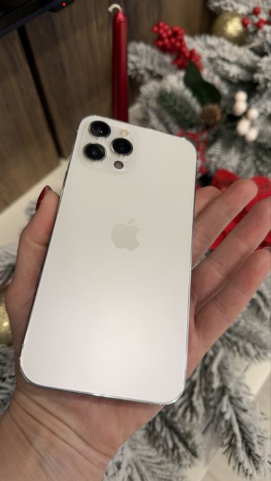 iPhone 12 Pro Max, Silver, 256 GB