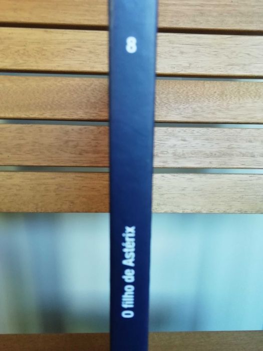 Astérix - O Filho de Astérix, nº8