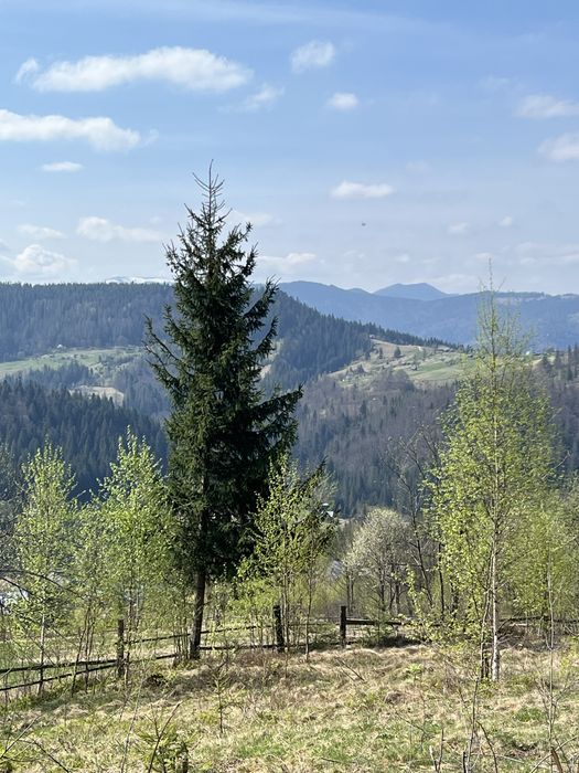 Земля Карпати Микуличин ( Власник) торг під будівництво 10 соток