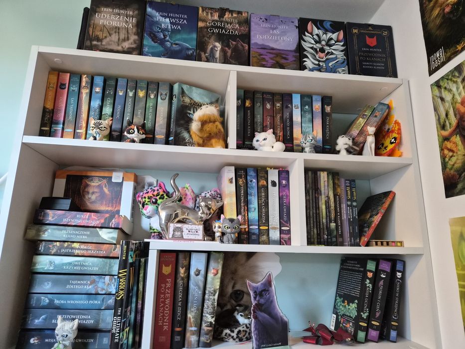 Sprzedam dodatki wojownicy Erin hunter