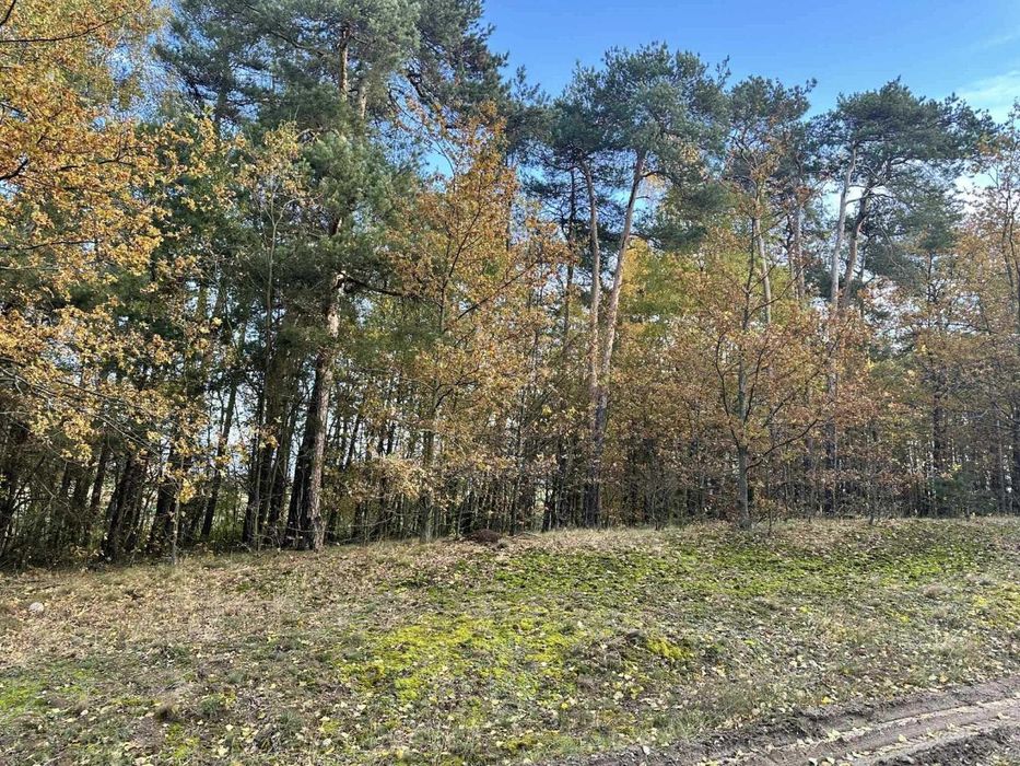 Działka na sprzedaż 4800 m 2 budowlana miejscowość Pałczew Gmina Brójce
