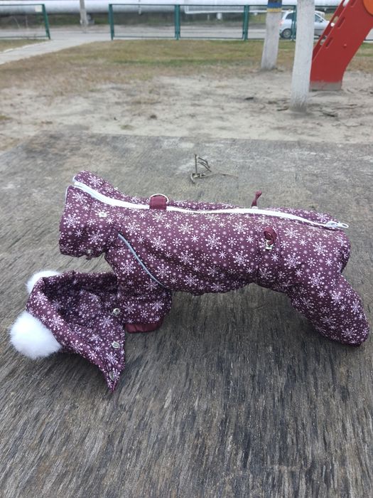 Швея надомница одяг для собак