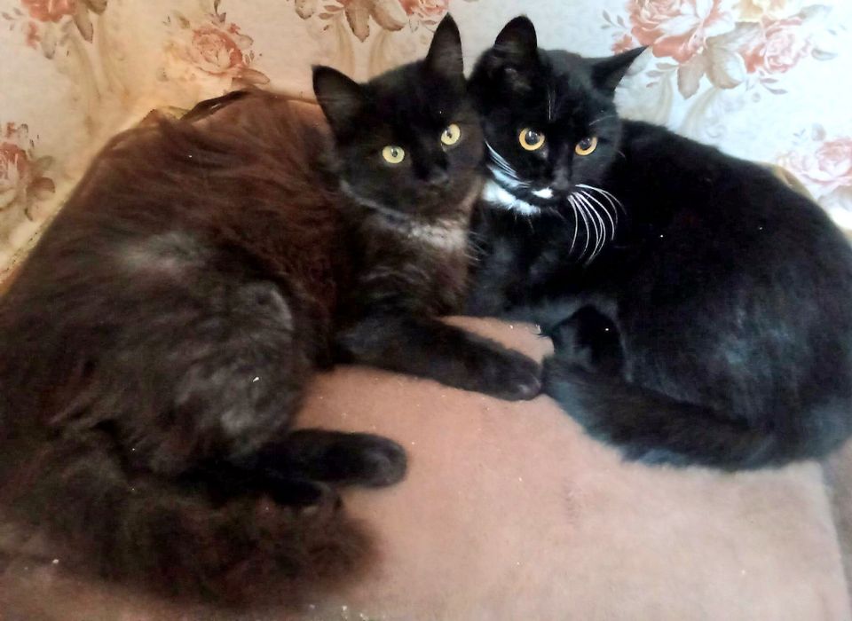 Mama z czarnym długowłosym synkiem-bardzo boją się wybuchów w Charkowi