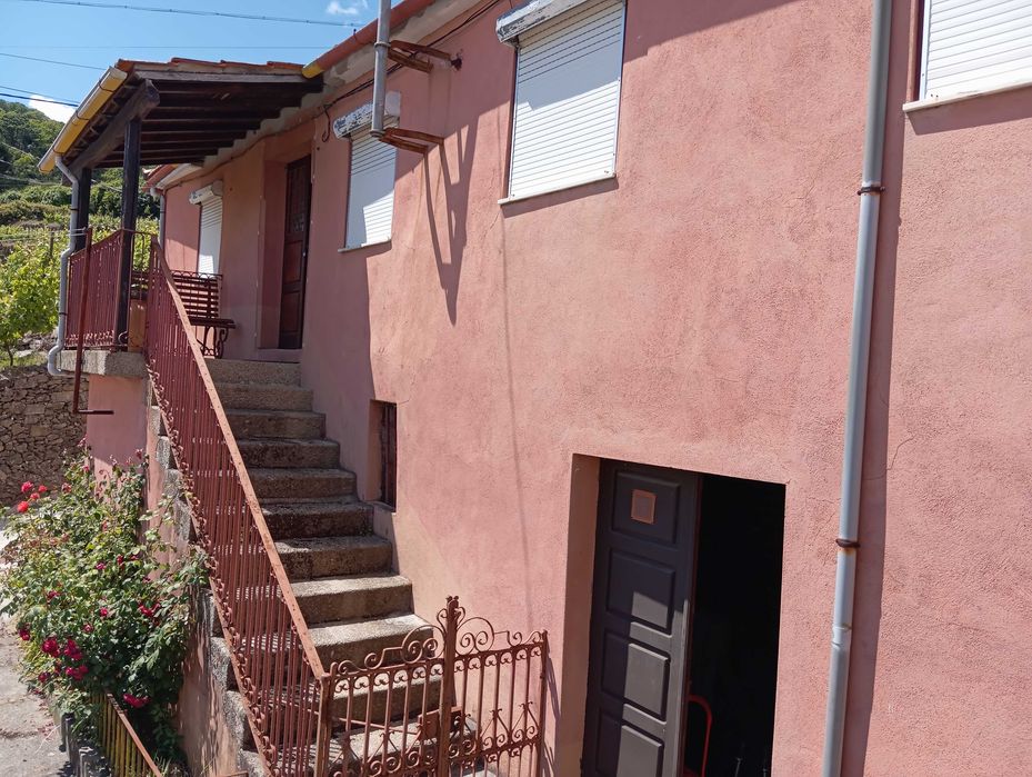 Douro – Vineyard property and house with wine cellar