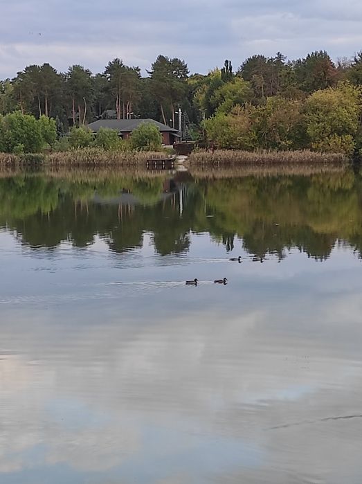 Будинок на березі водойми (Чайківка)
